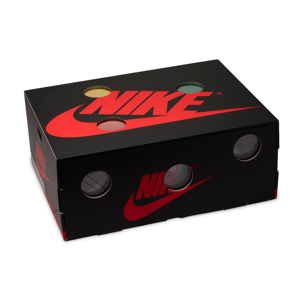Air Jordan 1 Retro High OG V.A.A. Alaska AA3834-100