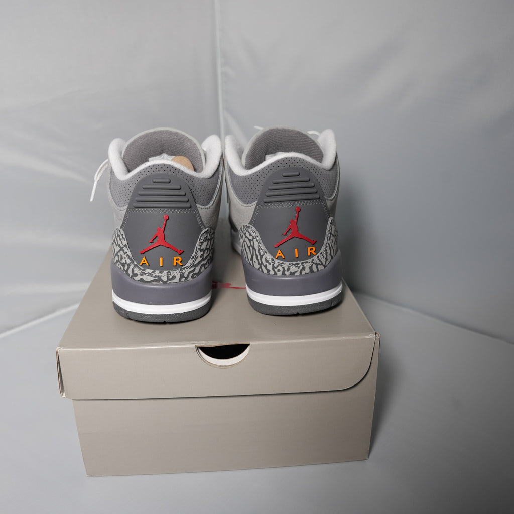 Jordan 3 Retro Cool Grey (2021)