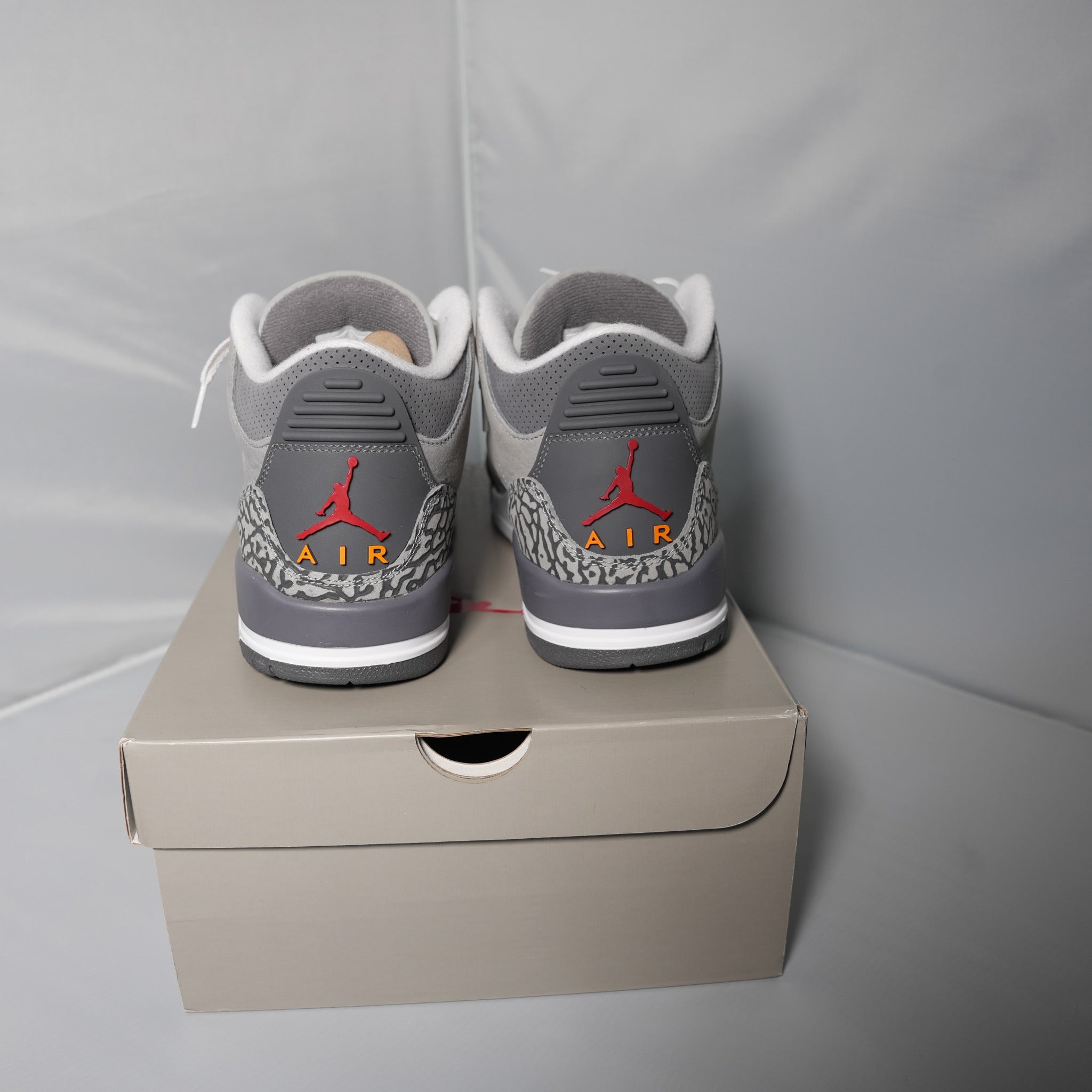 Jordan 3 Retro Cool Grey (2021)