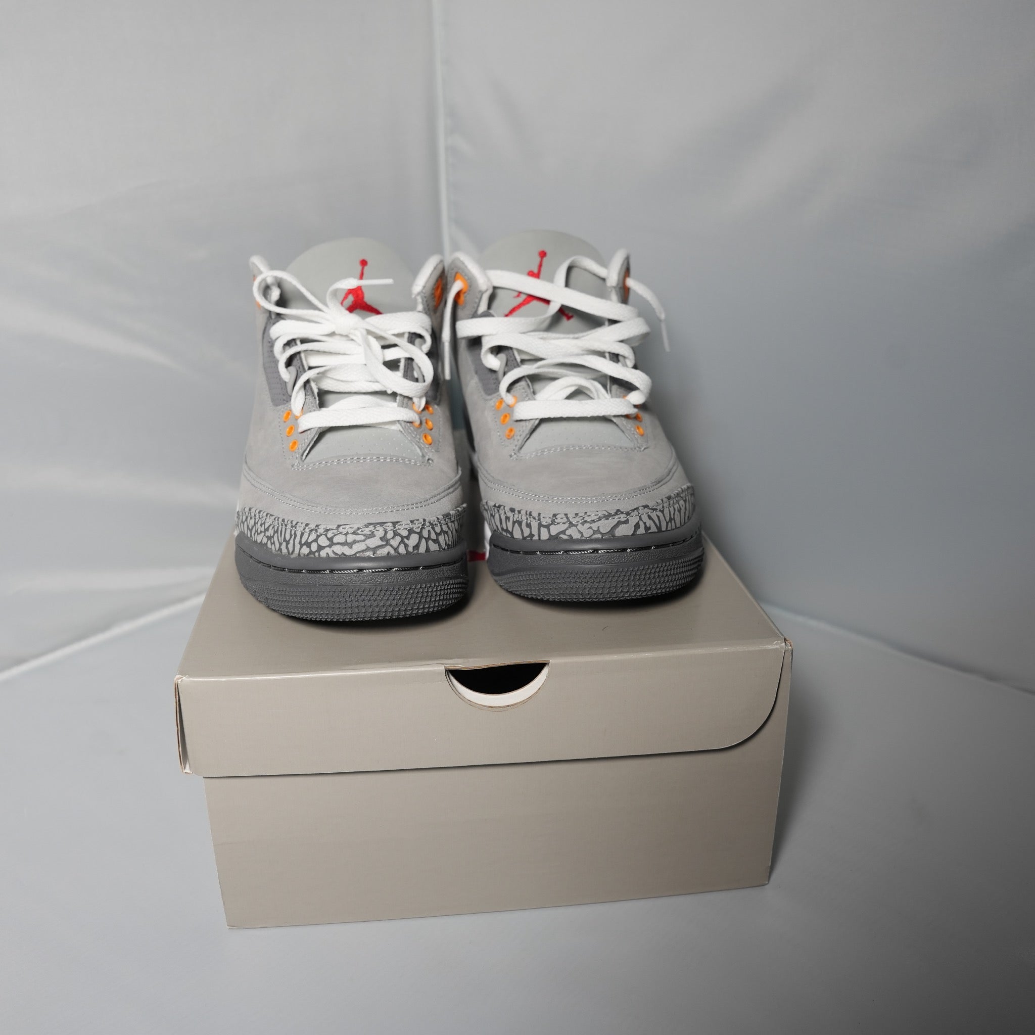 Jordan 3 Retro Cool Grey (2021)