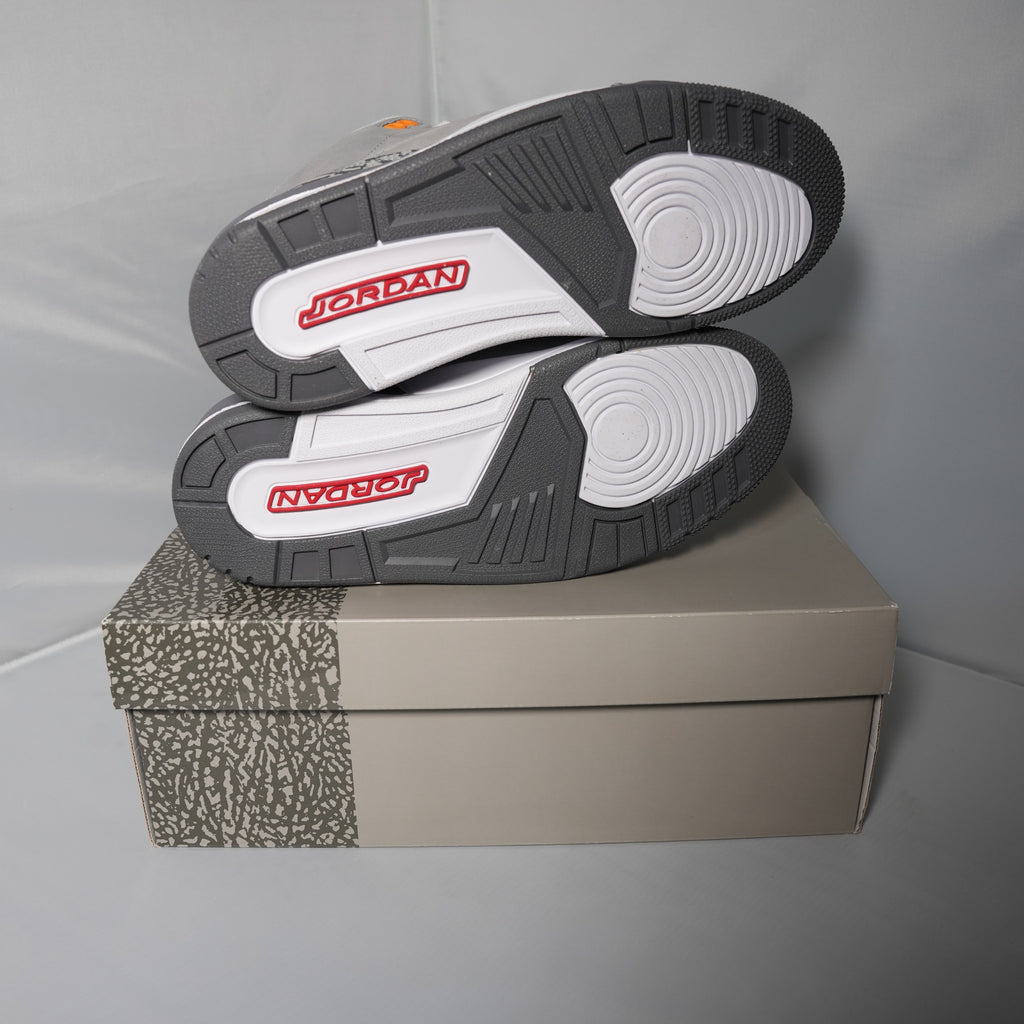 Jordan 3 Retro Cool Grey (2021)